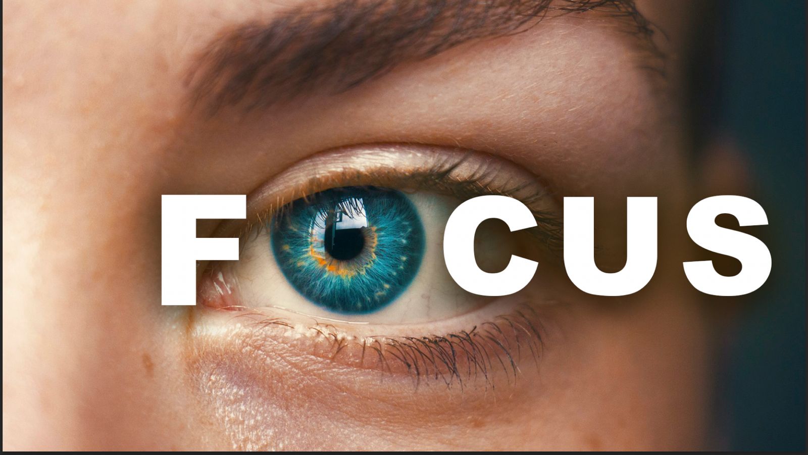 Focus